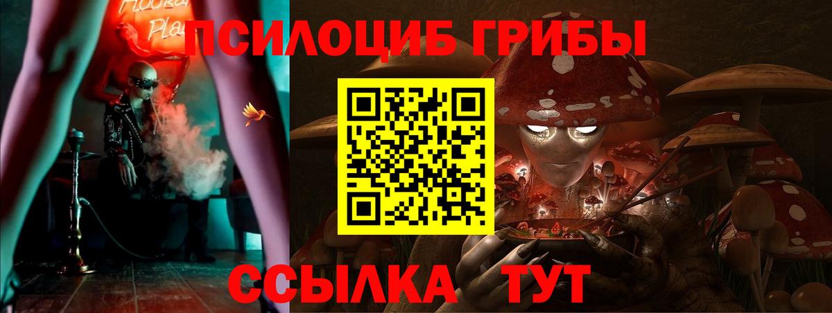 Галлюциногенные грибы Cubensis Туймазы